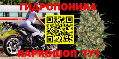 гашик Краснодар