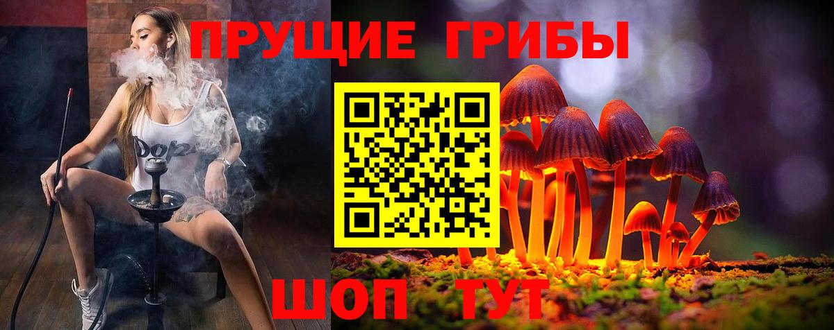Галлюциногенные грибы ЛСД  Псилоцибиновые грибы Psilocybe  Вход с VPN  Кизилюрт 